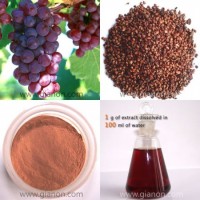 Grape Seed Extract ()